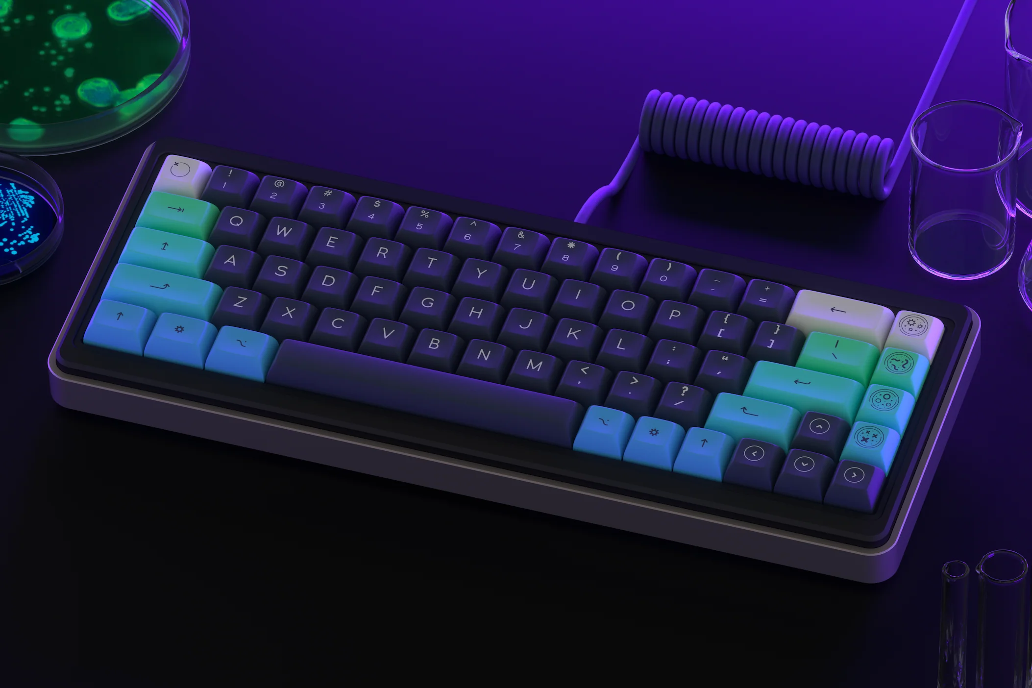 DSA Petrikeys (Ended)